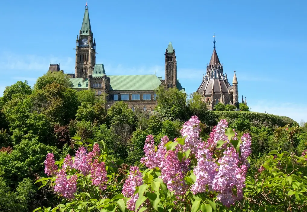 Parliament Hill in spring